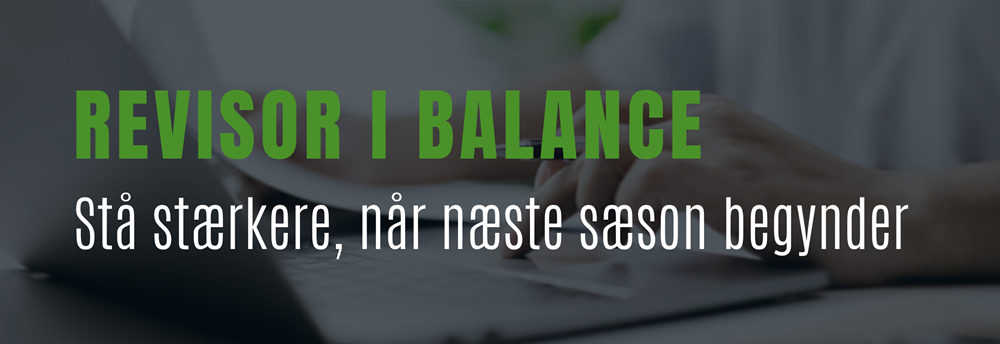 Revisor i Balance